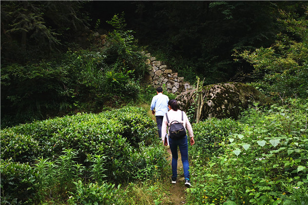 走访路上.jpg 走访路上.jpg